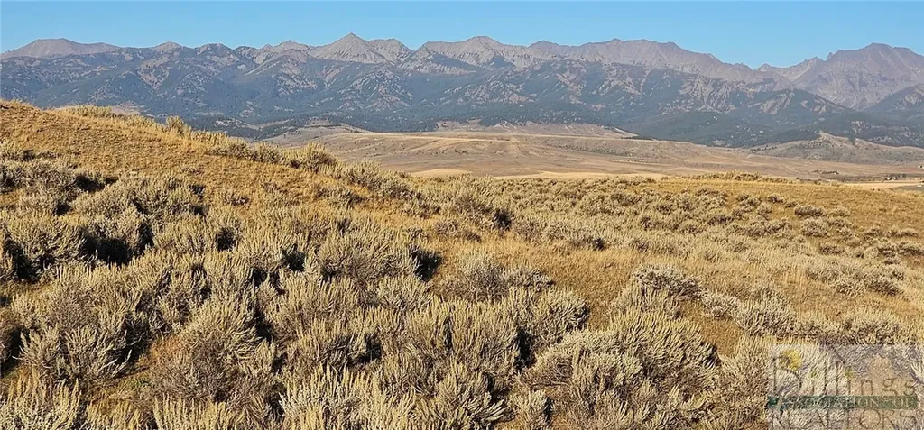 Tbd Shy Road Other MT 59086
