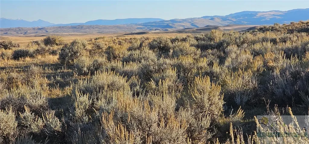 Tbd Shy Road Other MT 59086