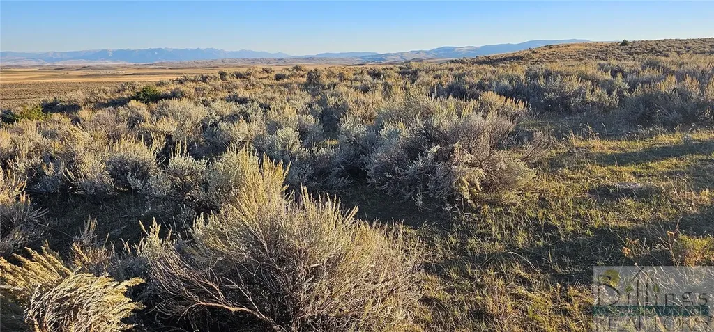 Tbd Shy Road Other MT 59086