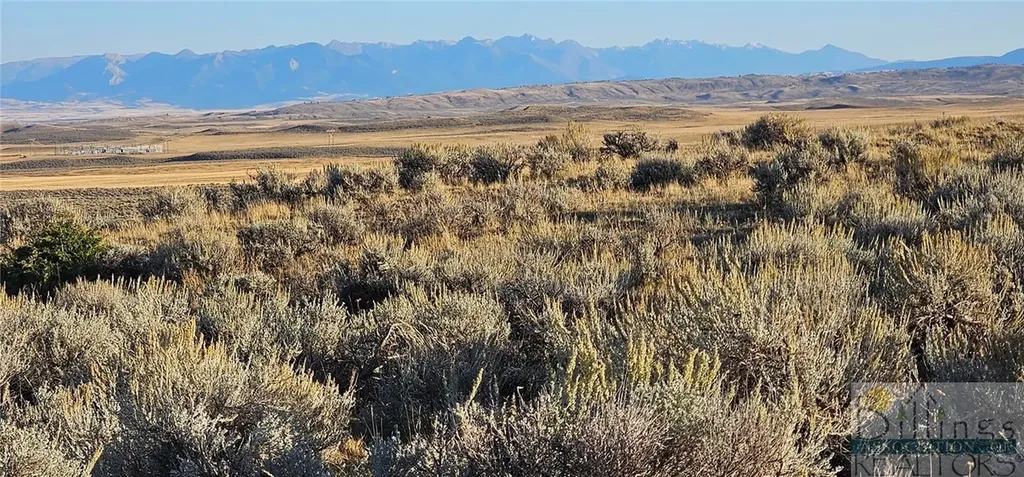 Tbd Shy Road Other MT 59086