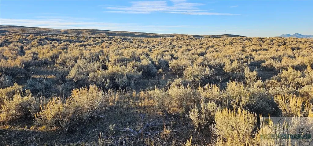 Tbd Shy Road Other MT 59086