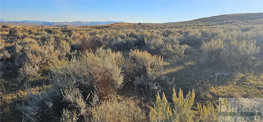 Tbd Shy Road Other MT 59086