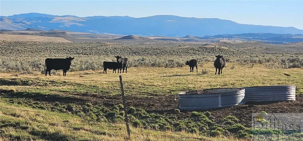 Tbd Shy Road Other MT 59086