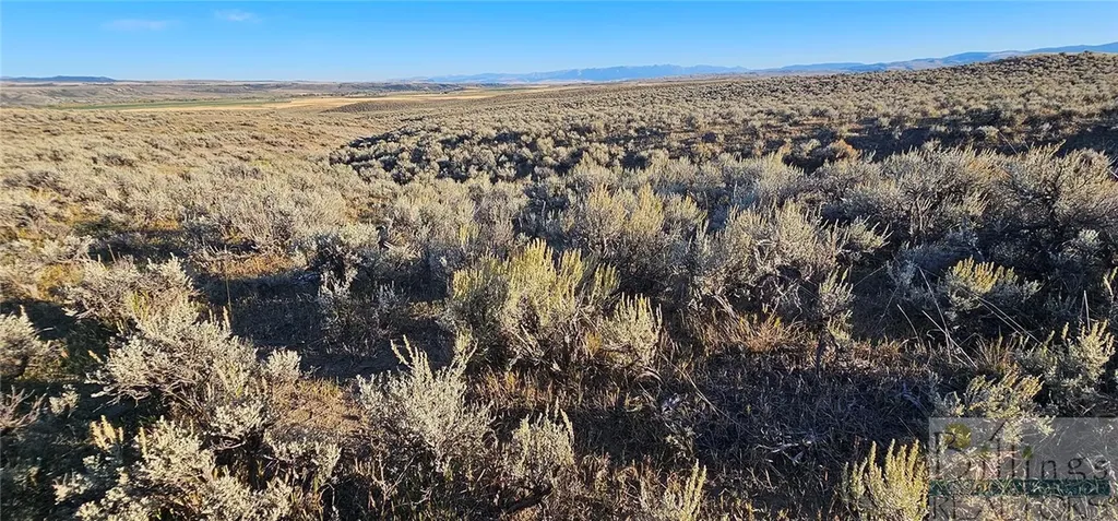 Tbd Shy Road Other MT 59086