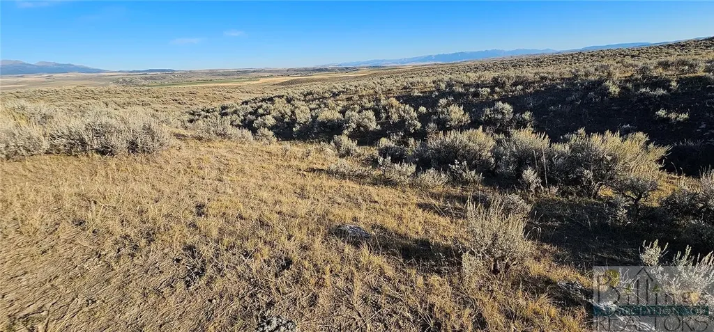 Tbd Shy Road Other MT 59086