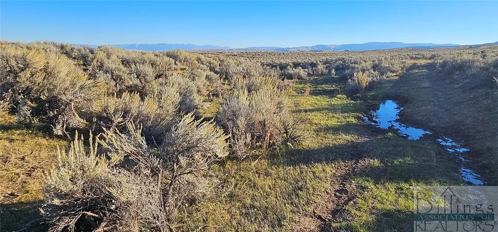 Tbd Shy Road Other MT 59086