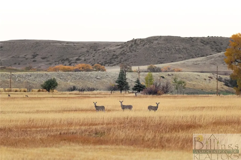 287 Spring Creek Road Absarokee MT 59001