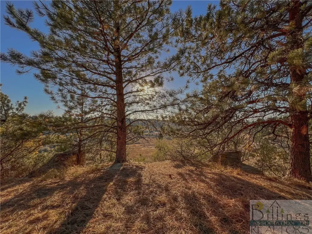 1116 Ginger Avenue Billings MT 59105
