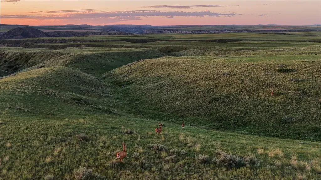 Na Citadel Trail Lewistown MT 59446