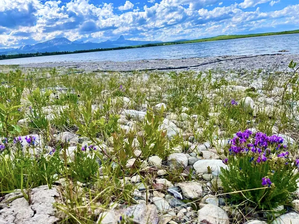 Lot 14 S Shore Duck Lake Road Other MT 59411