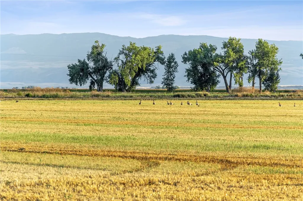 11698 Highway 313 Hardin MT 59034