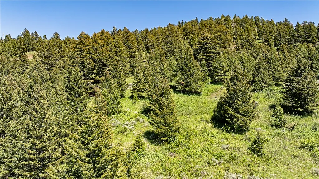 180 Chester Lane Bozeman MT 59715
