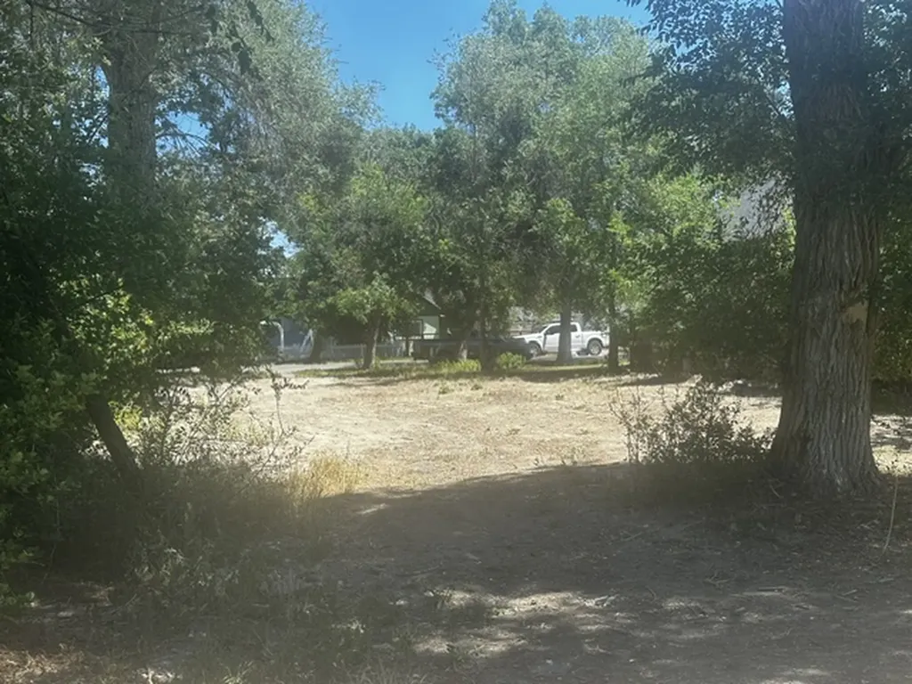 812 N 25th Street Billings MT 59101