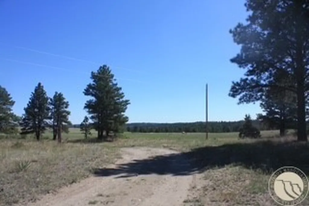 130 Shoe String Road Lavina MT 59046