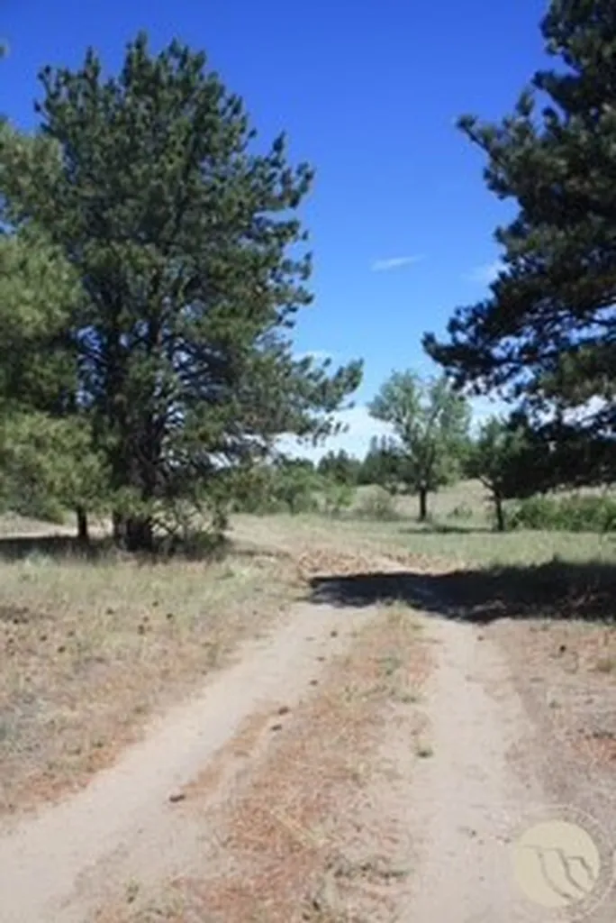 130 Shoe String Road Lavina MT 59046