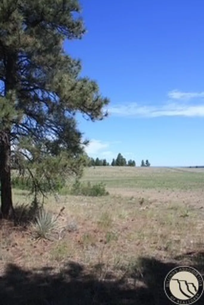130 Shoe String Road Lavina MT 59046