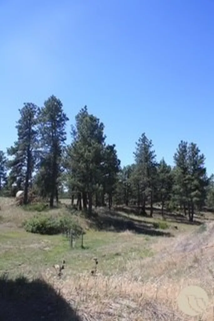 130 Shoe String Road Lavina MT 59046