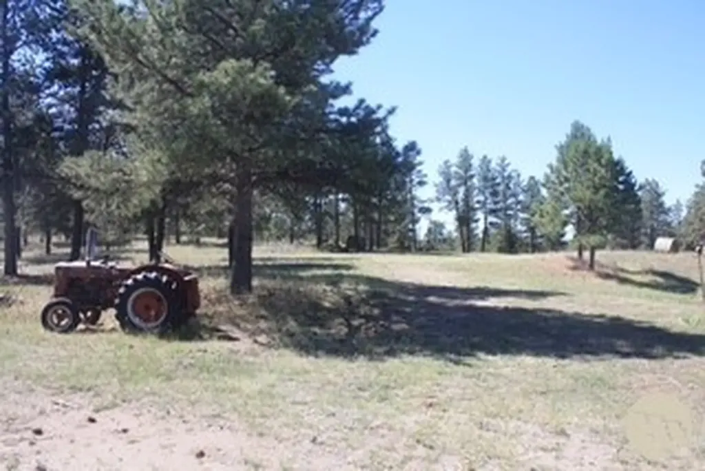 130 Shoe String Road Lavina MT 59046