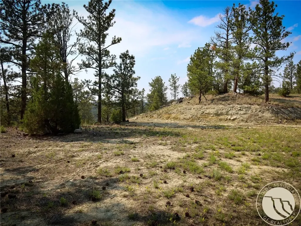 2 Quail Trail Roundup MT 59072