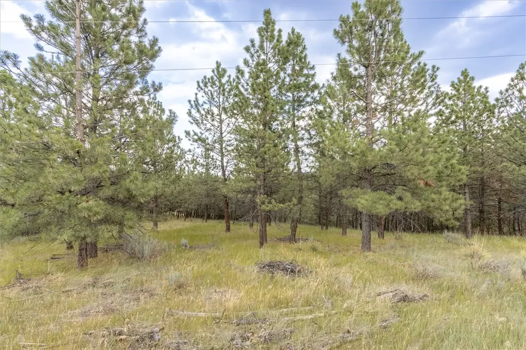 00 Indian Ridge Road Billings MT 59101