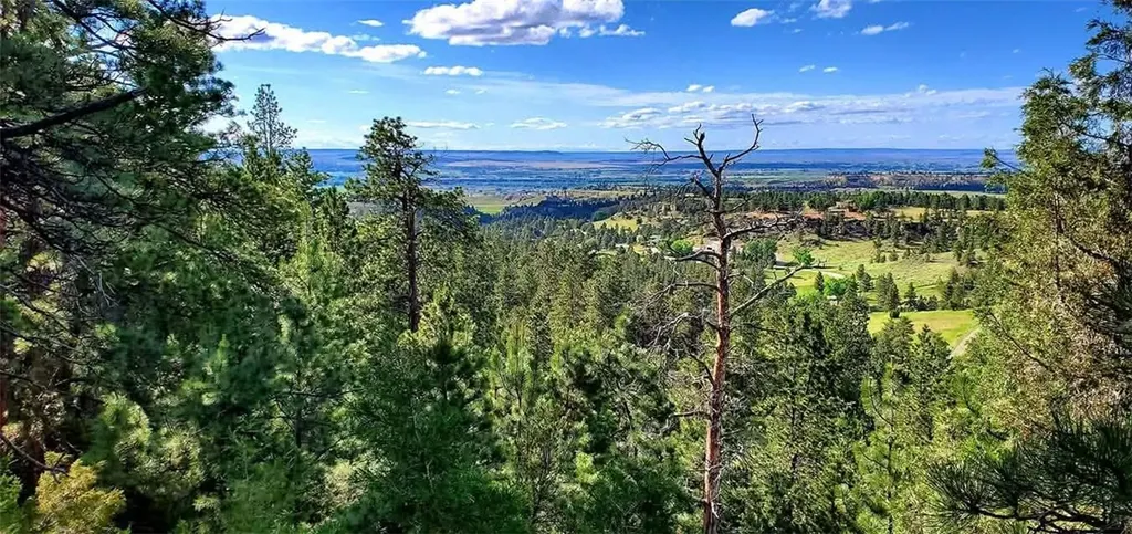 00 Indian Ridge Road Billings MT 59101