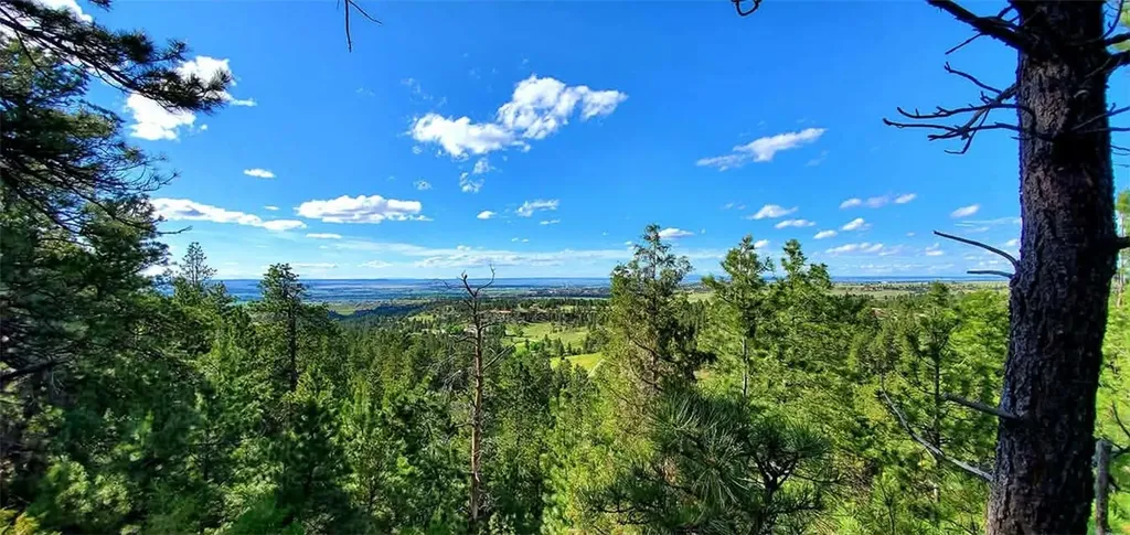 00 Indian Ridge Road Billings MT 59101