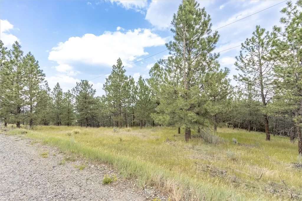 00 Indian Ridge Road Billings MT 59101