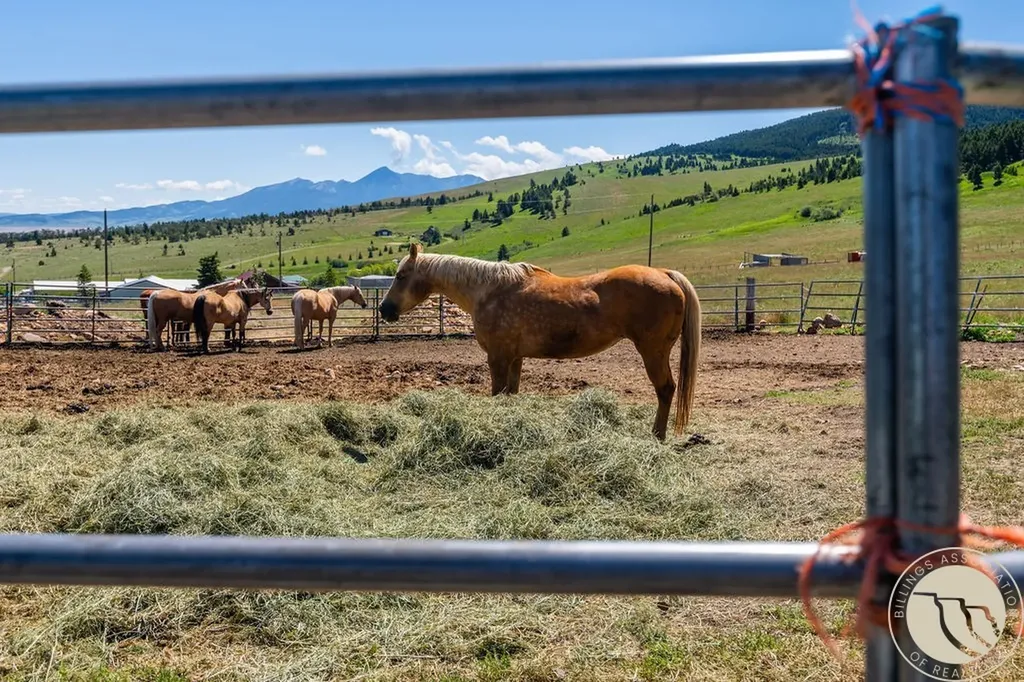 14 Pony Lane Other MT 59047