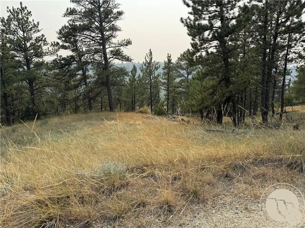 Tbd Tbd Antelope Drive Columbus MT 59019