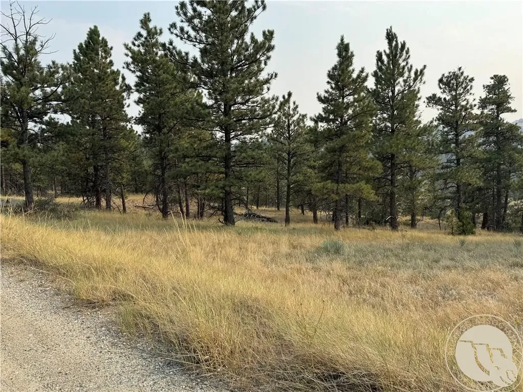 Tbd Tbd Antelope Drive Columbus MT 59019