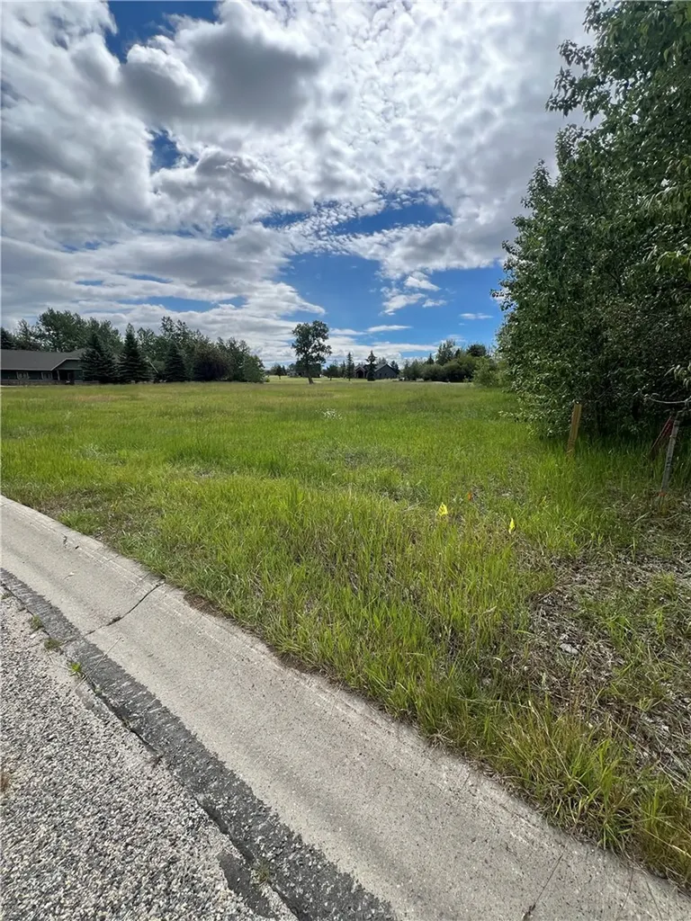 60 Cole Drive Red Lodge MT 59068