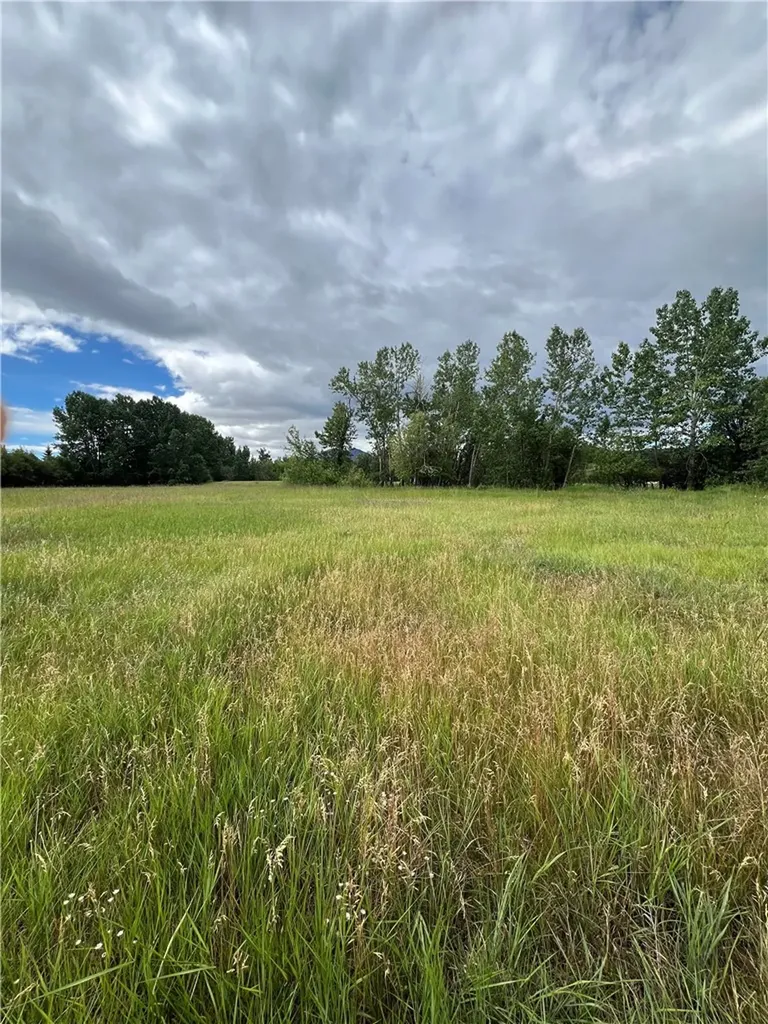 60 Cole Drive Red Lodge MT 59068
