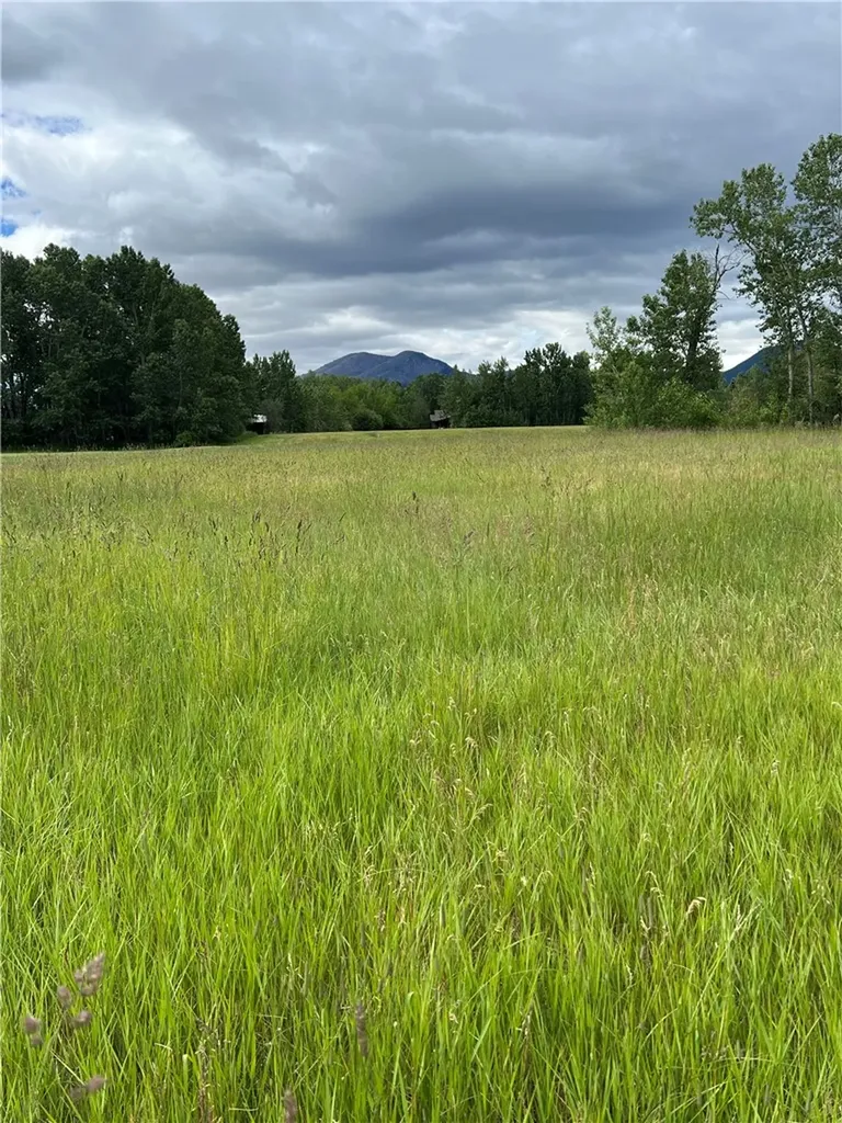 60 Cole Drive Red Lodge MT 59068