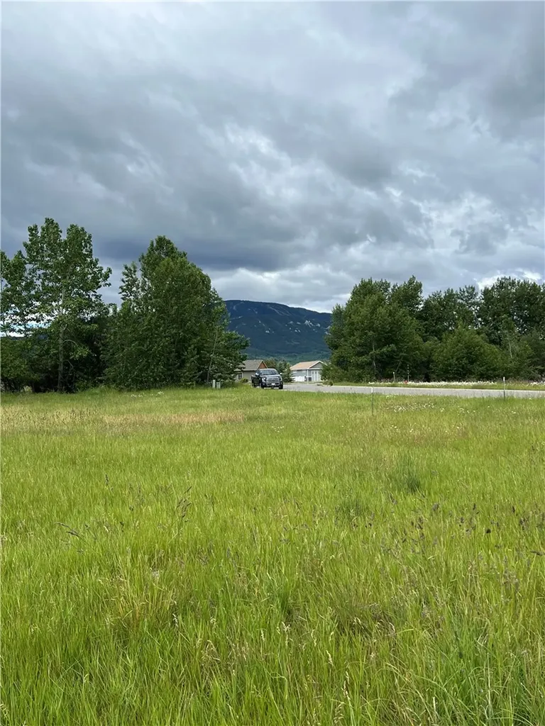 60 Cole Drive Red Lodge MT 59068