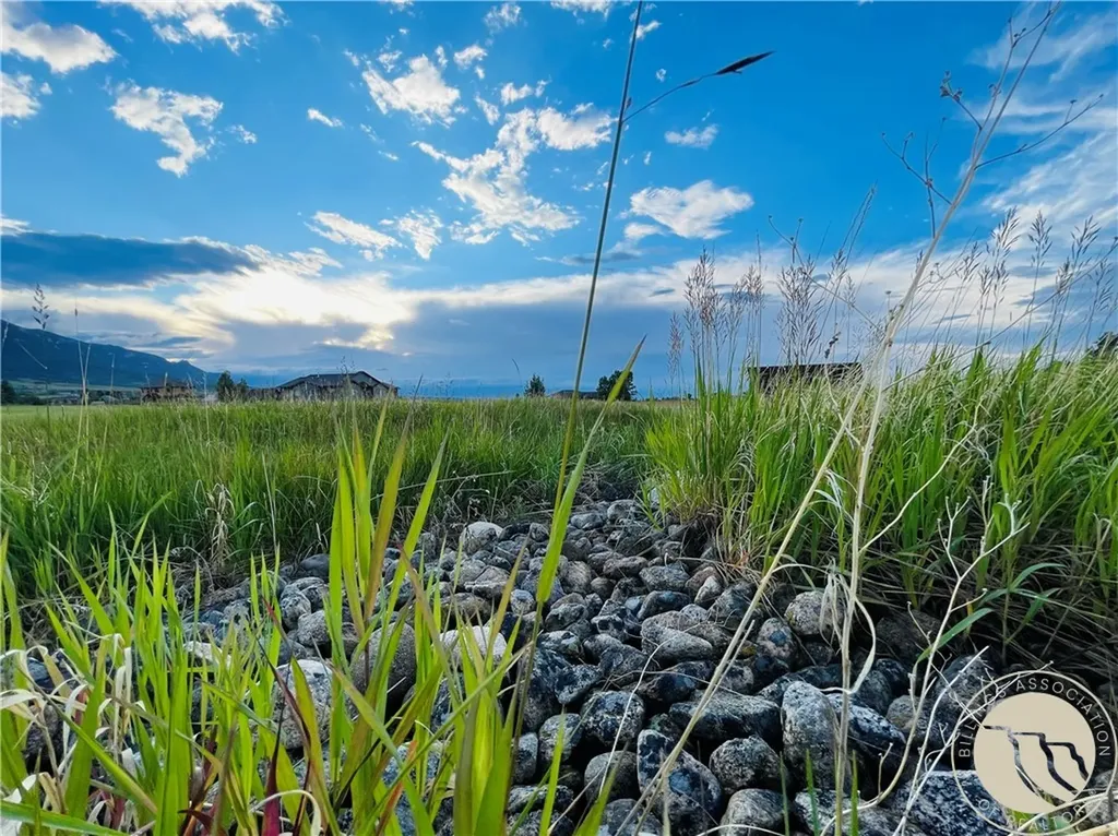 Lot 51 Juniper Circle Red Lodge MT 59068
