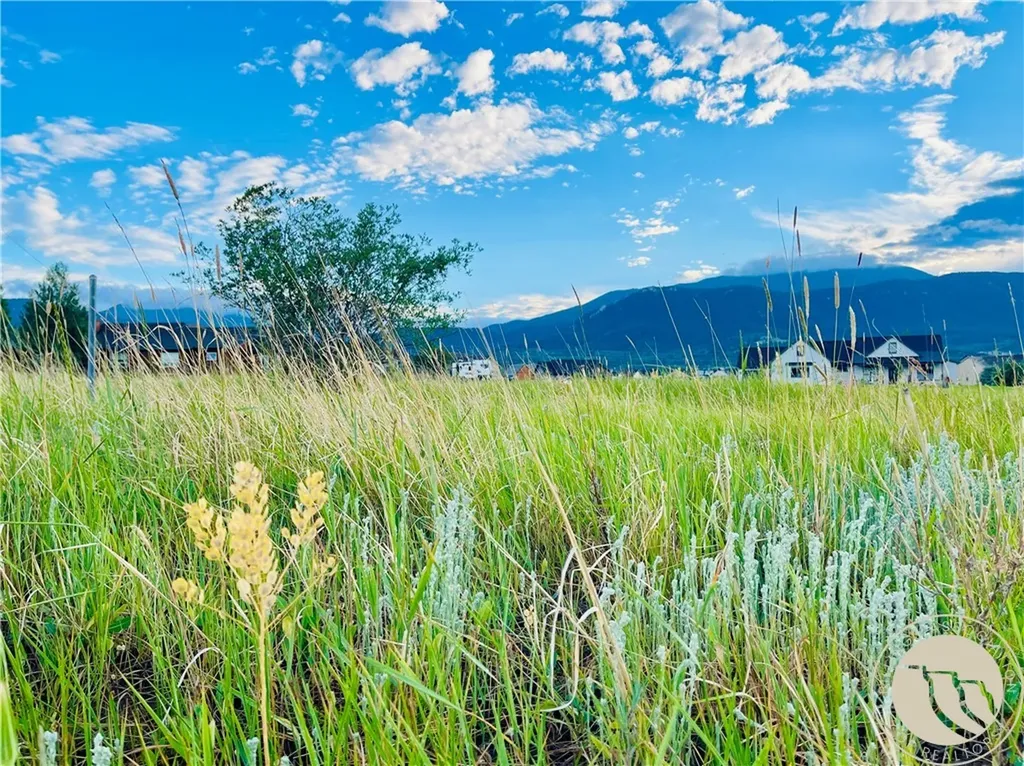 Lot 51 Juniper Circle Red Lodge MT 59068