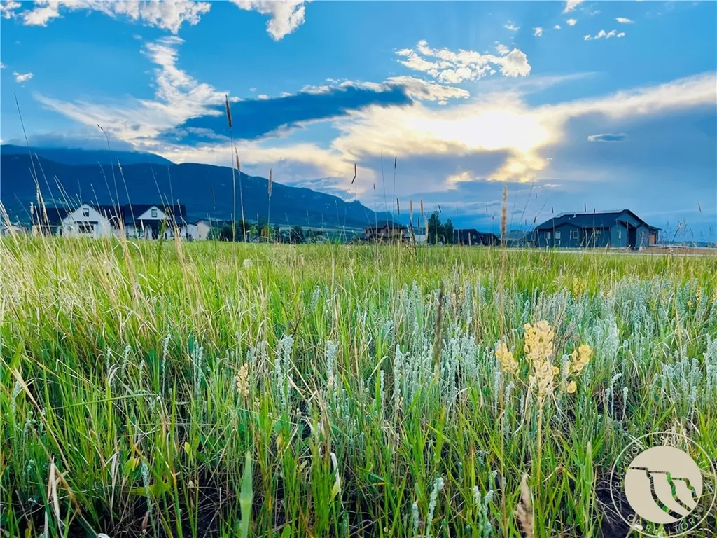 Lot 51 Juniper Circle Red Lodge MT 59068