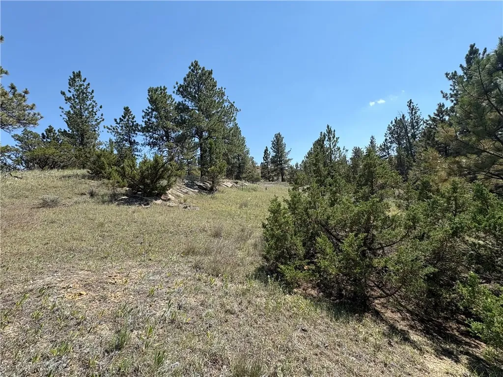 163 Western Drive Miles City MT 59301
