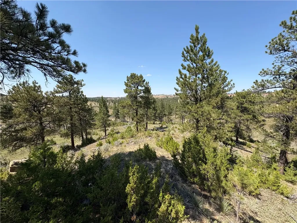 163 Western Drive Miles City MT 59301
