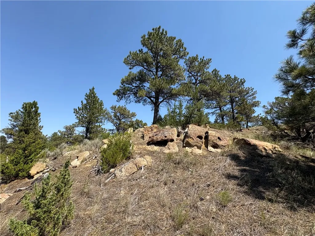 163 Western Drive Miles City MT 59301