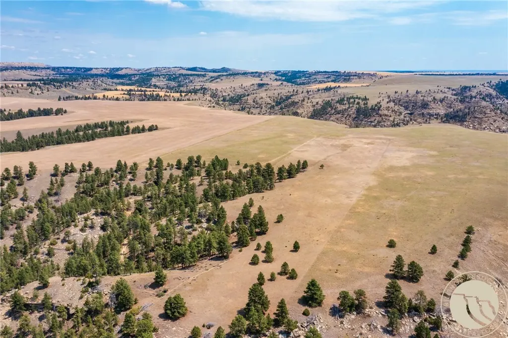 2727 Buffalo Trail Road Molt MT 59057
