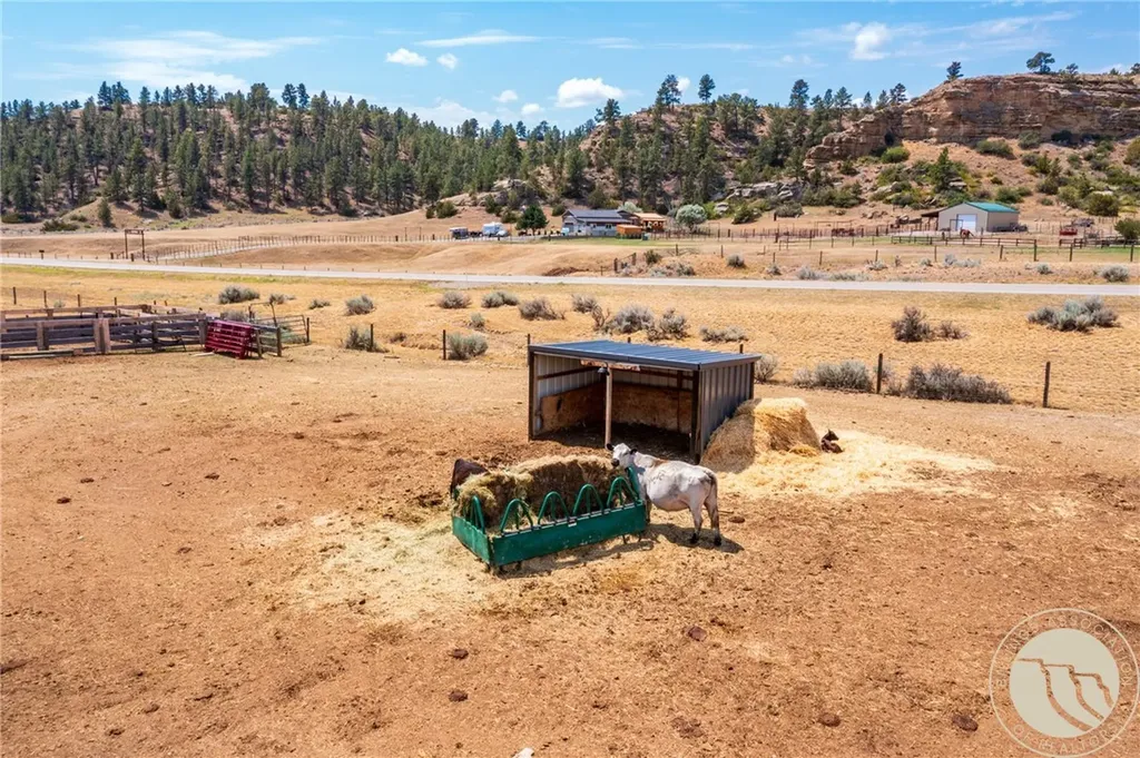 2727 Buffalo Trail Road Molt MT 59057