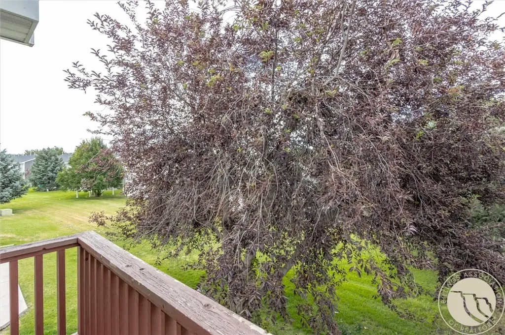3611 Olympic Boulevard Billings MT 59102