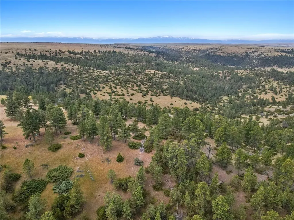 Tbd Lewis Trail Columbus MT 59019