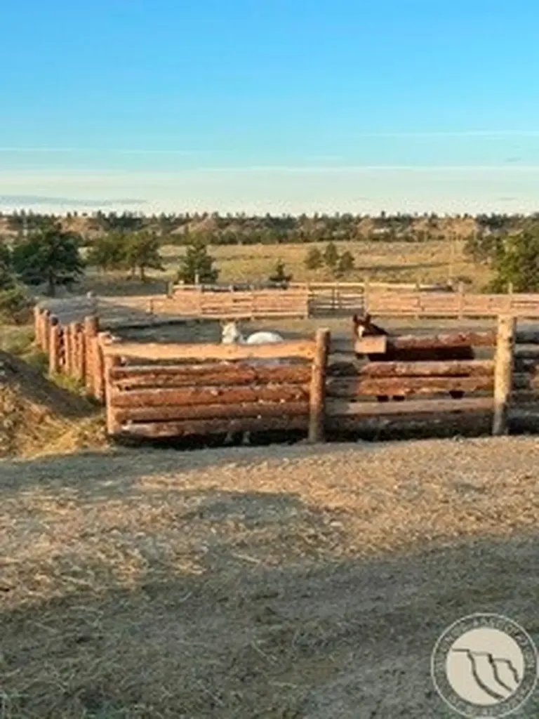 184 Alec Roy Road Roundup MT 59072