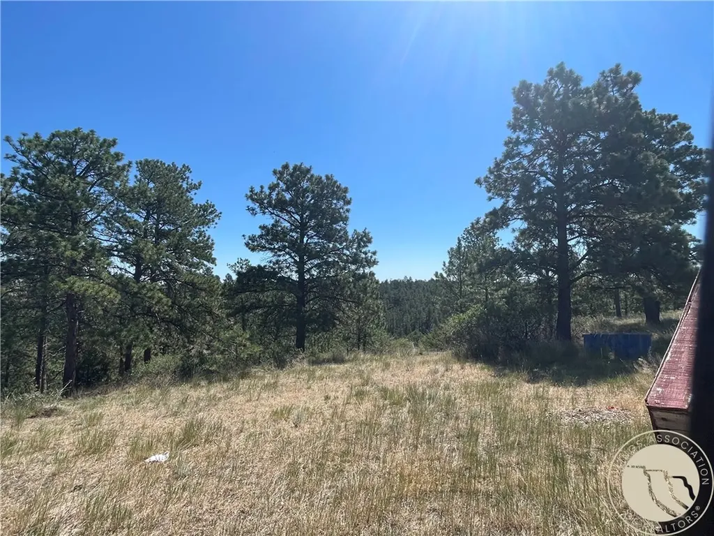3111 Chief Looking Glass Road Laurel MT 59044