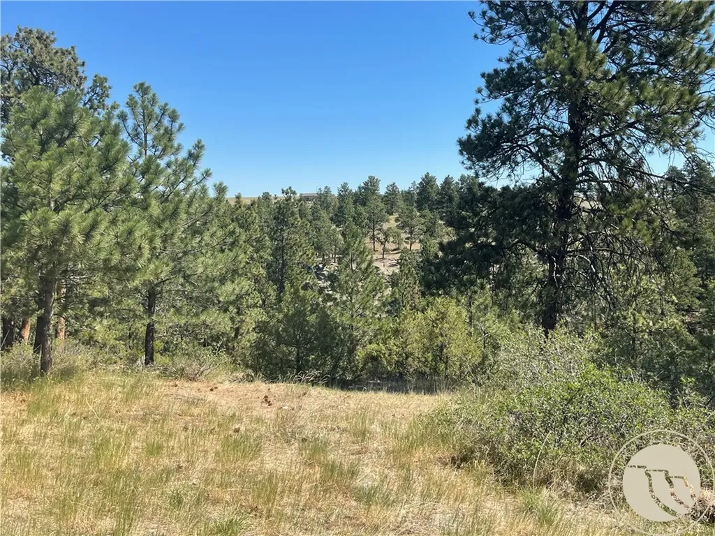 3111 Chief Looking Glass Road Laurel MT 59044