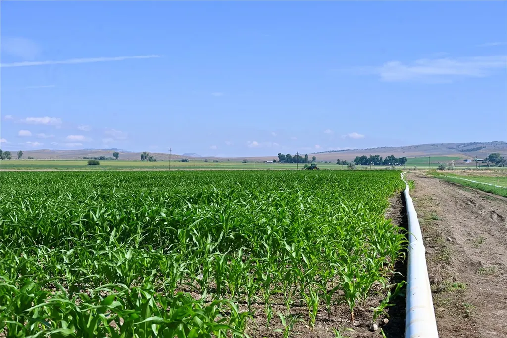 94.76 Acres Highway 72 Bridger MT 59014