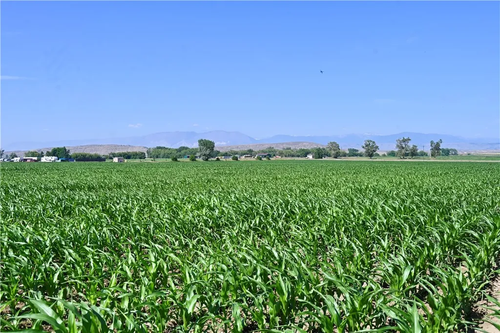 94.76 Acres Highway 72 Bridger MT 59014