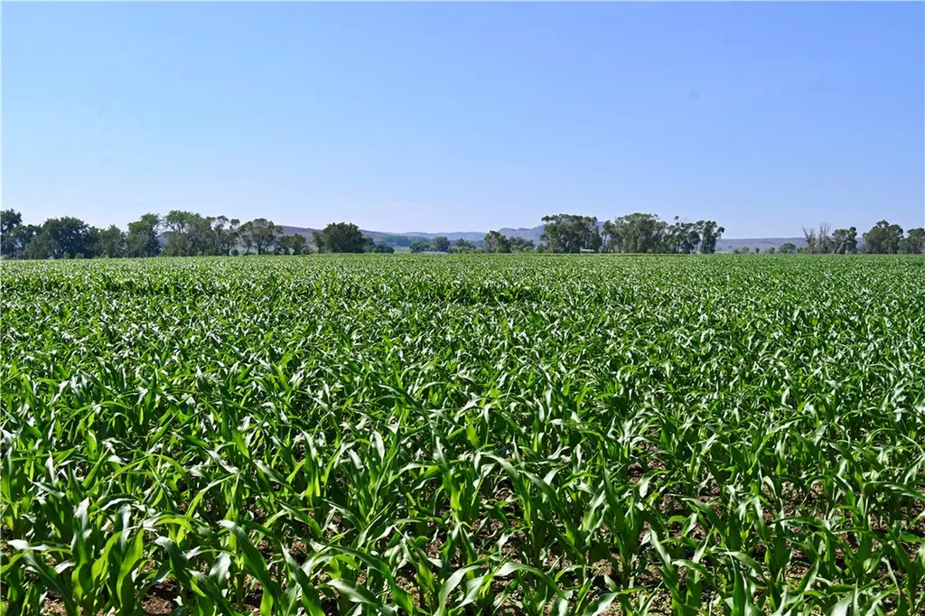 94.76 Acres Highway 72 Bridger MT 59014